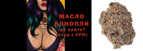 соль ск Бородино